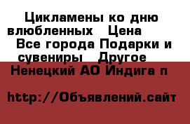 Цикламены ко дню влюбленных › Цена ­ 180 - Все города Подарки и сувениры » Другое   . Ненецкий АО,Индига п.